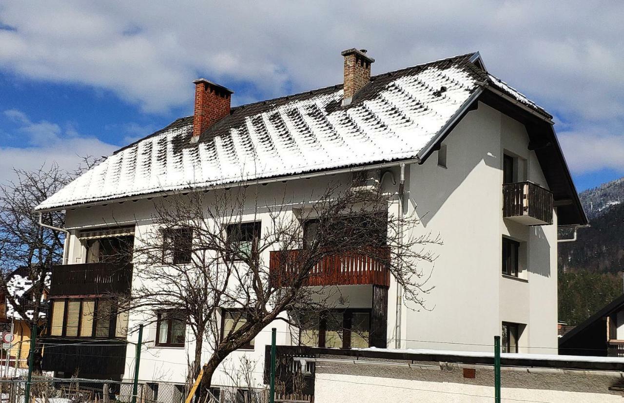 Apartament Cozy Nest In The Heart Of Kranjska Gora Zewnętrze zdjęcie